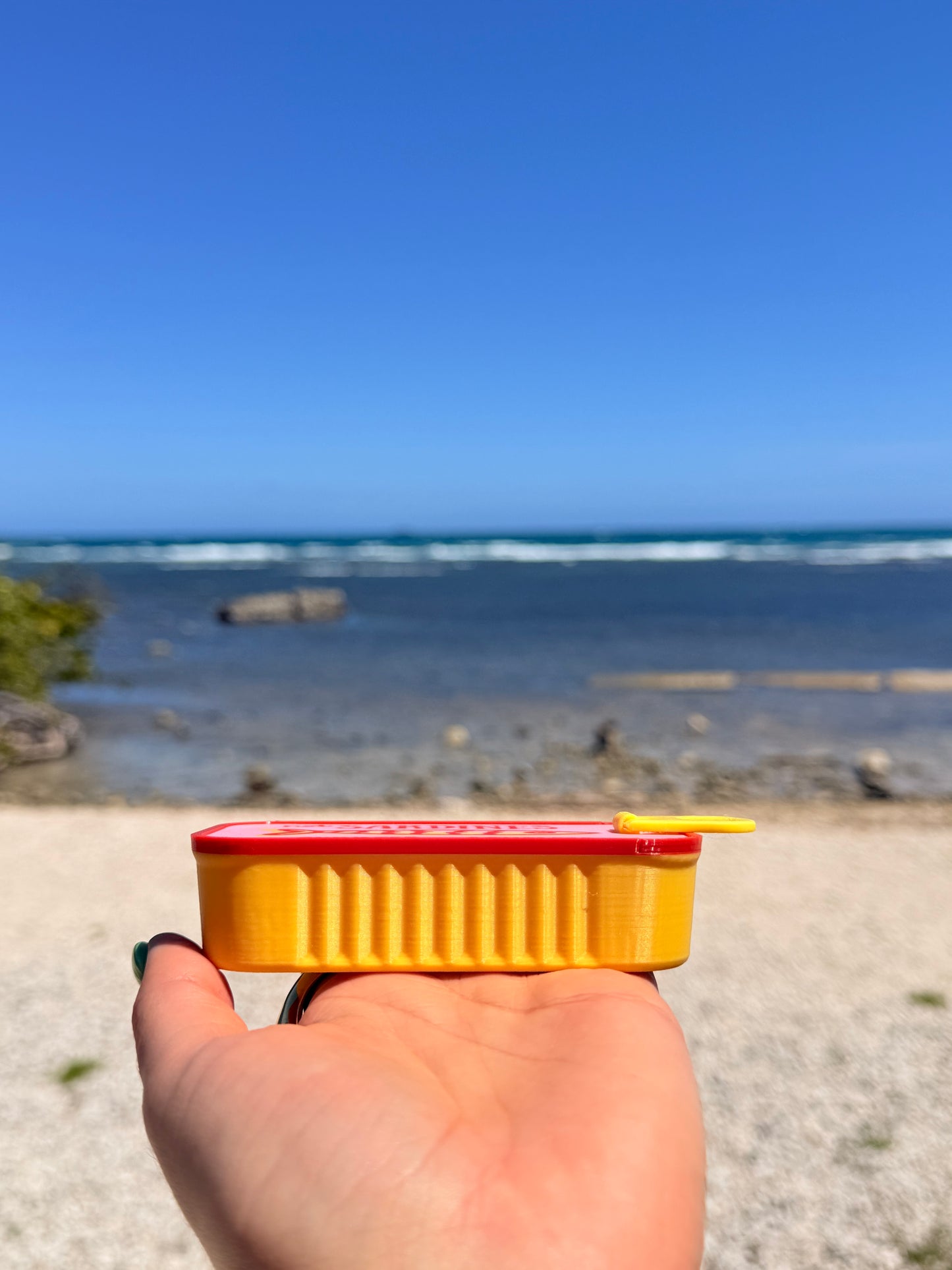 Not sardines just Treasures