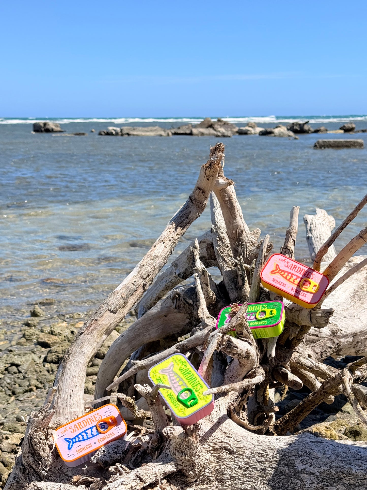 Not sardines just Treasures